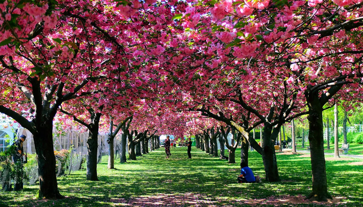 Wetter in New York - Frühling