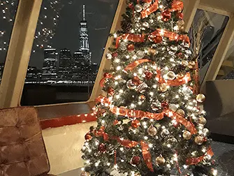 Weihnachtsbootstouren in New York - Christbaum