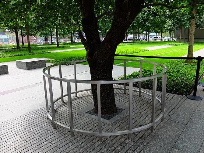 9/11 Memorial am Ground Zero - Survivor Tree