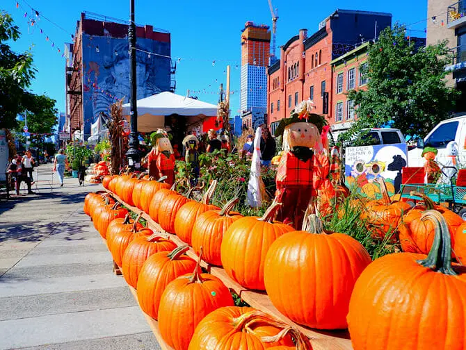 Halloween Kürbis in New York