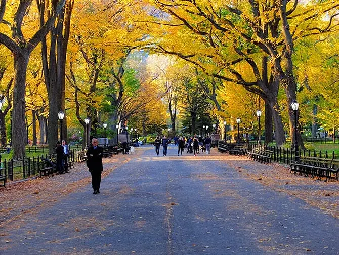 Rundgang zu den Filmdrehorten im Central Park - The Mall
