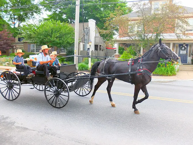 Tagesausflug von New York nach Philadelphia und Amish Country - Die Amisch besuchen
