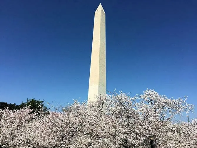 New York nach Washington D.C. Tagesausflug mit dem Bus - Denkmal