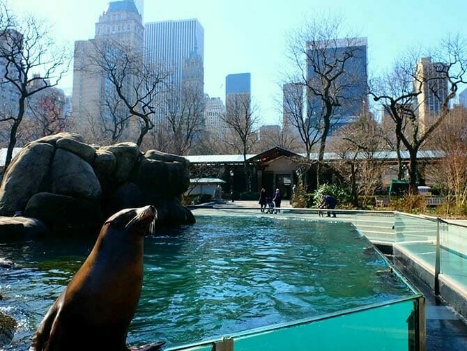 Central Park Zoo Tickets NewYorkCity.de