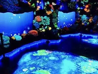 National Geographic Encounter Ocean Odyssey - Tiefsee