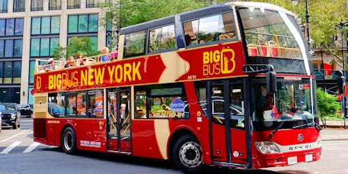 Hop on Hop off Bus