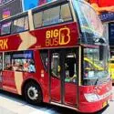 Hop on Hop off Bus
