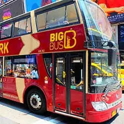 Hop on Hop off Bus