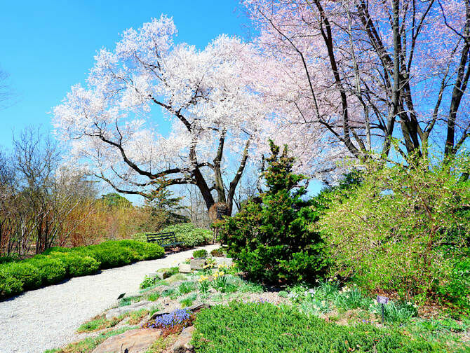 Botanische Gärten in New York NewYorkCity.de
