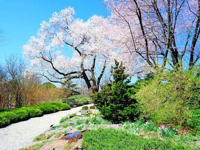 Botanische G&auml;rten in New York New York - Botanical Garden in The Bronx