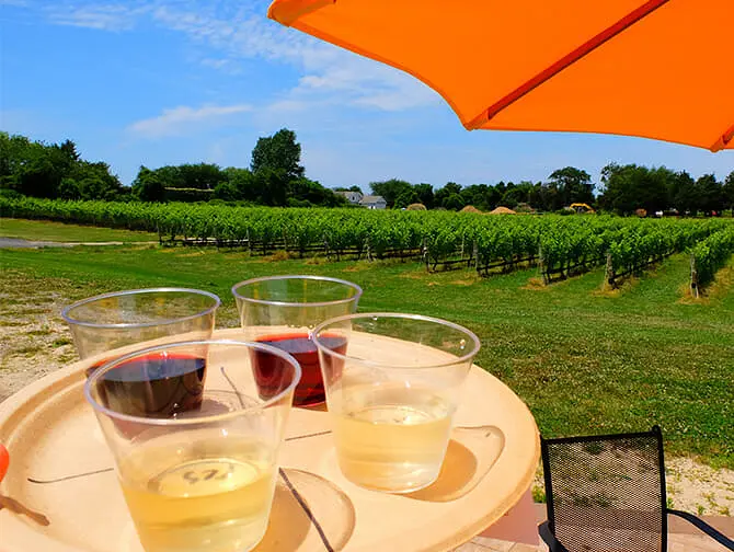 Weingut Tagesausflug von New York - Weinprobe