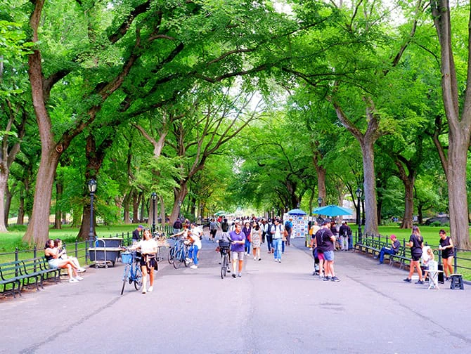New York Wanderroute - Central Park