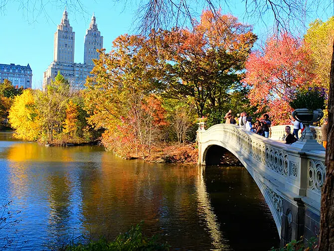 Getting Married in New York - Der Central Park