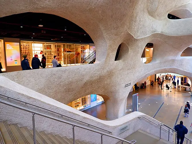 The American Museum of Natural History in New York - Erweiterung