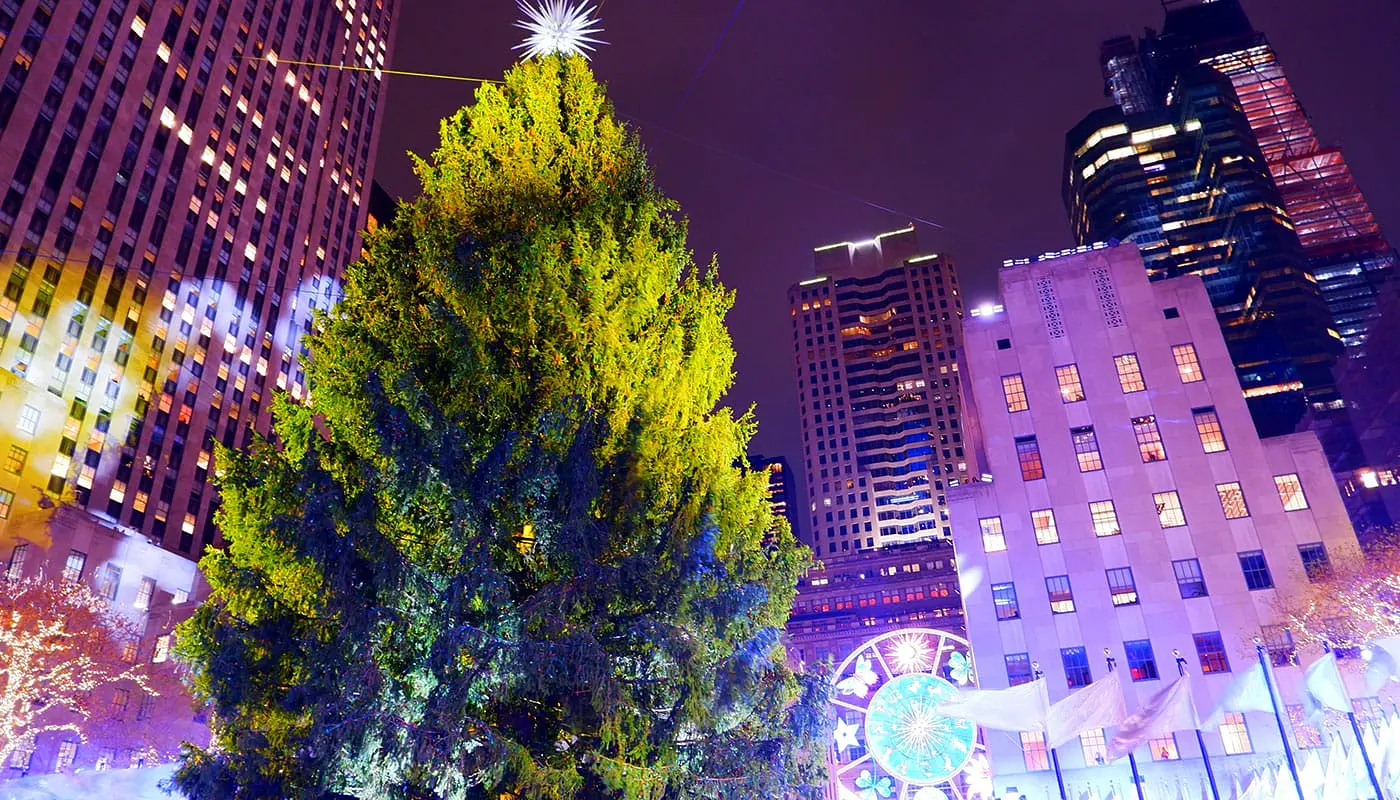 Der Rockefeller Weihnachtsbaum ist angekommen in New York!