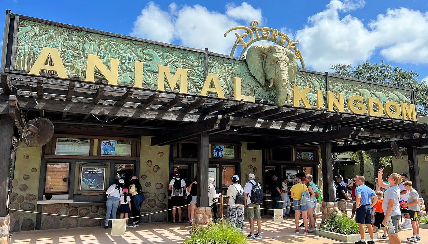 Kombireise New York und Orlando - Disneys Animal Kingdom Theme Park