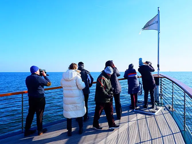 New Yorker Robben- und Vogelbeobachtung Bootstour