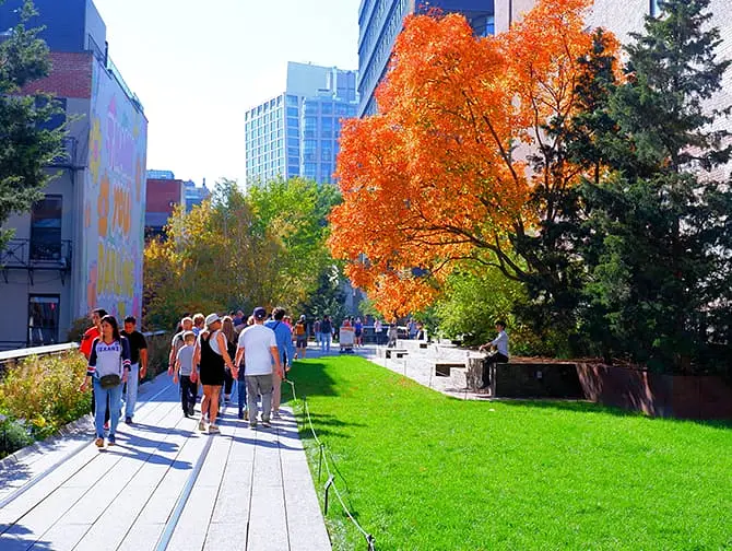 High Line Park in New York - Natur