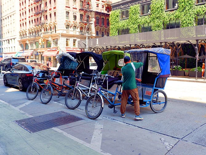 Pedicab Tour in Central Park - Rickshas