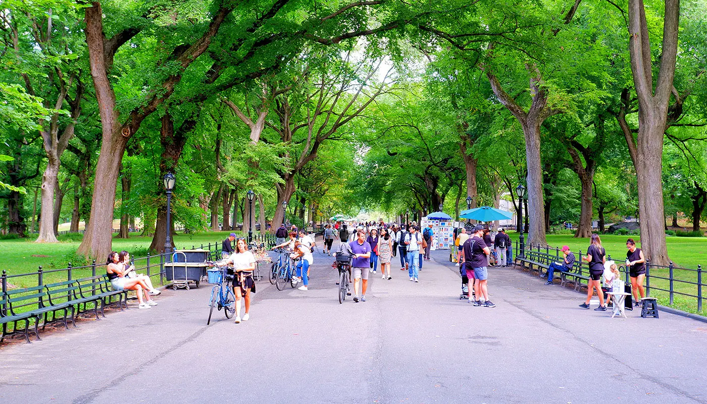 4 Tage New York Tagesplanung - Erkunden Sie den Central Park mit dem Fahrrad oder zu Fuß