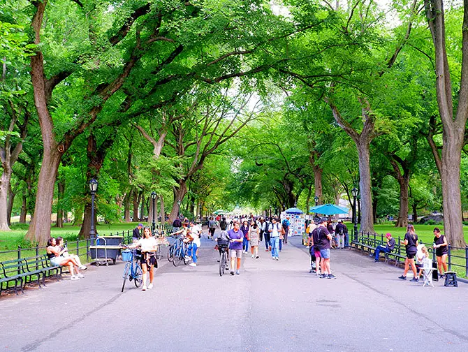 Wanderroute Central Park in New York